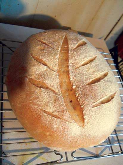I was intrigued by William Rubel’s article “Beautiful Bread” in the December 2017/January 2018 issue. I decided to try it and was delighted with the results!
Joyce Ancrile - Vienna, West Virginia